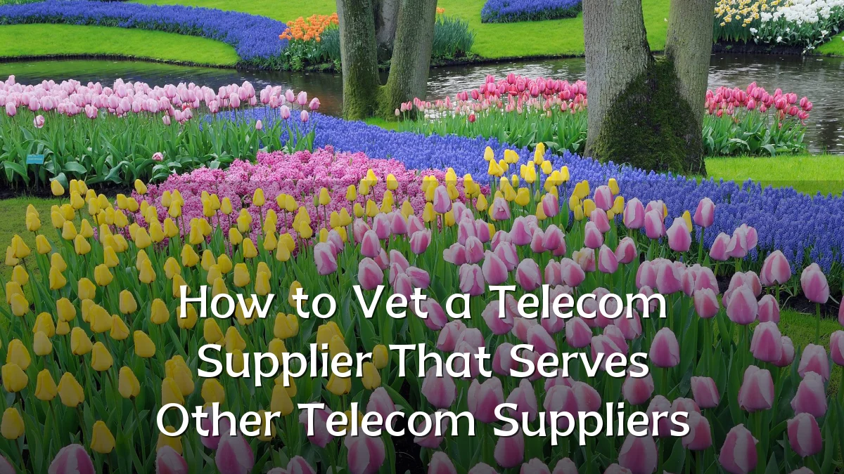 How to Vet a Telecom Supplier That Serves Other Telecom Suppliers