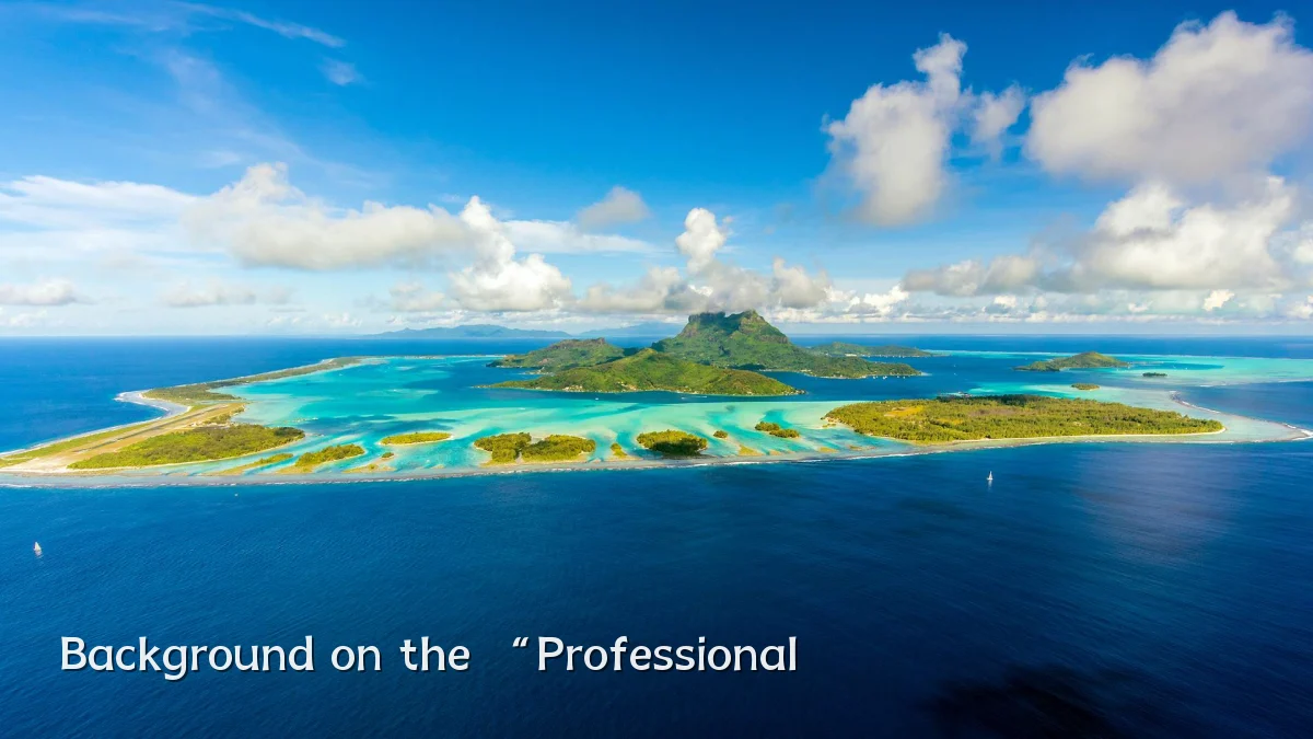 Background on the “Professional