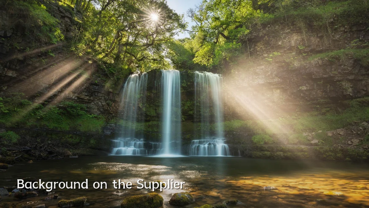 Background on the Supplier
