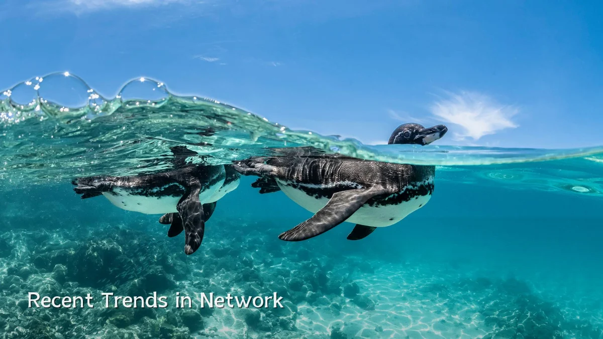 Recent Trends in Network