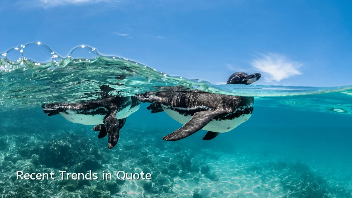 Recent Trends in Quote