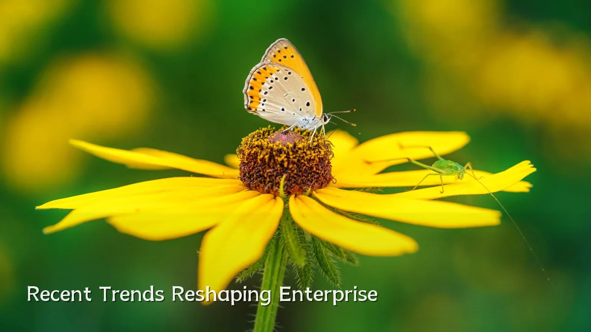 Recent Trends Reshaping Enterprise