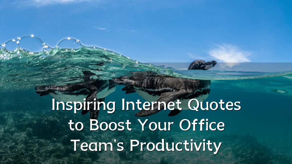Inspiring Internet Quotes to Boost Your Office Team's Productivity