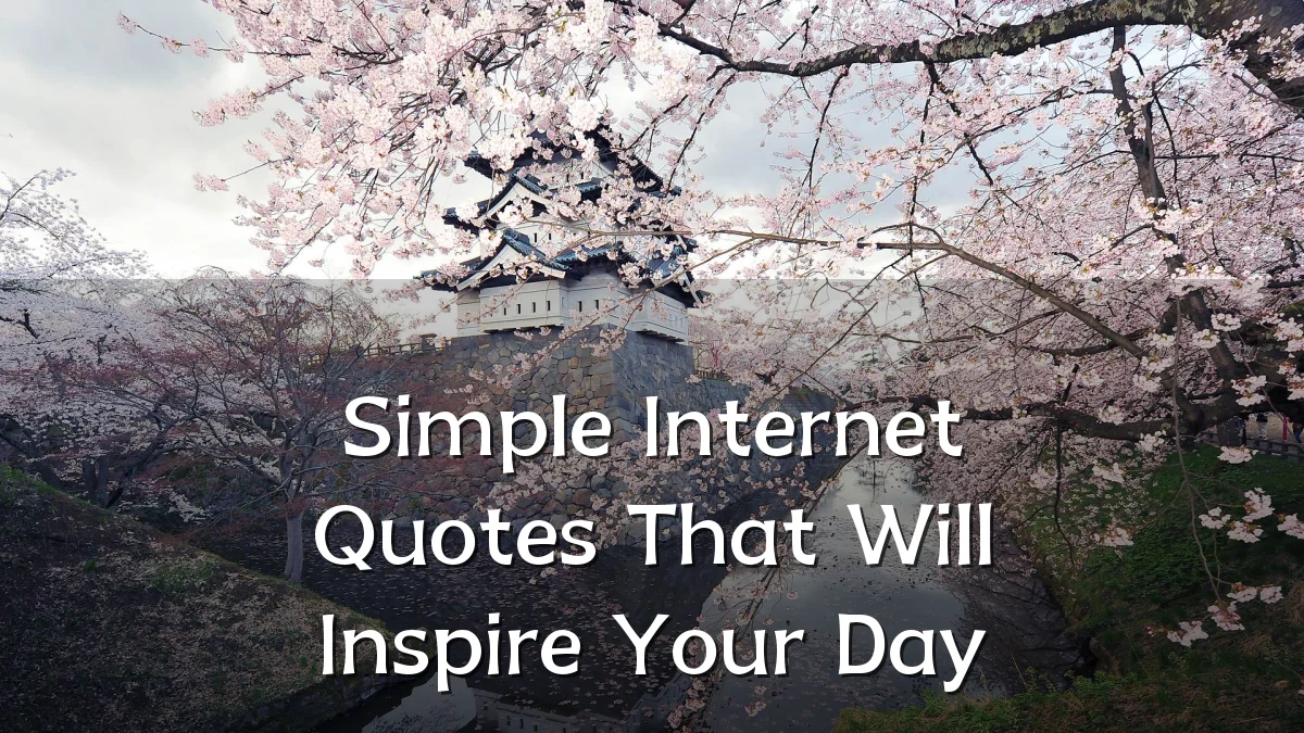 Simple Internet Quotes That Will Inspire Your Day