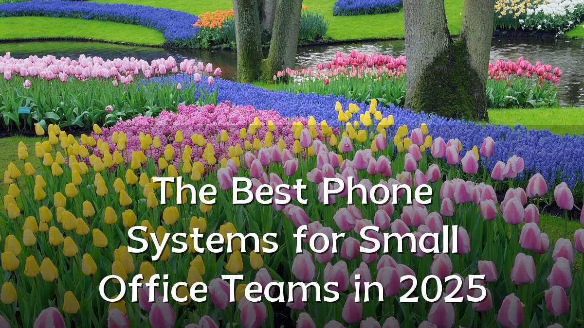 The Best Phone Systems for Small Office Teams in 2025