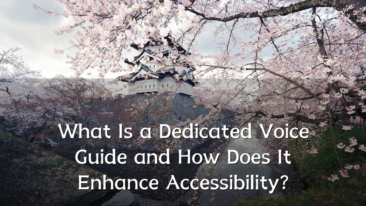 What Is a Dedicated Voice Guide and How Does It Enhance Accessibility?