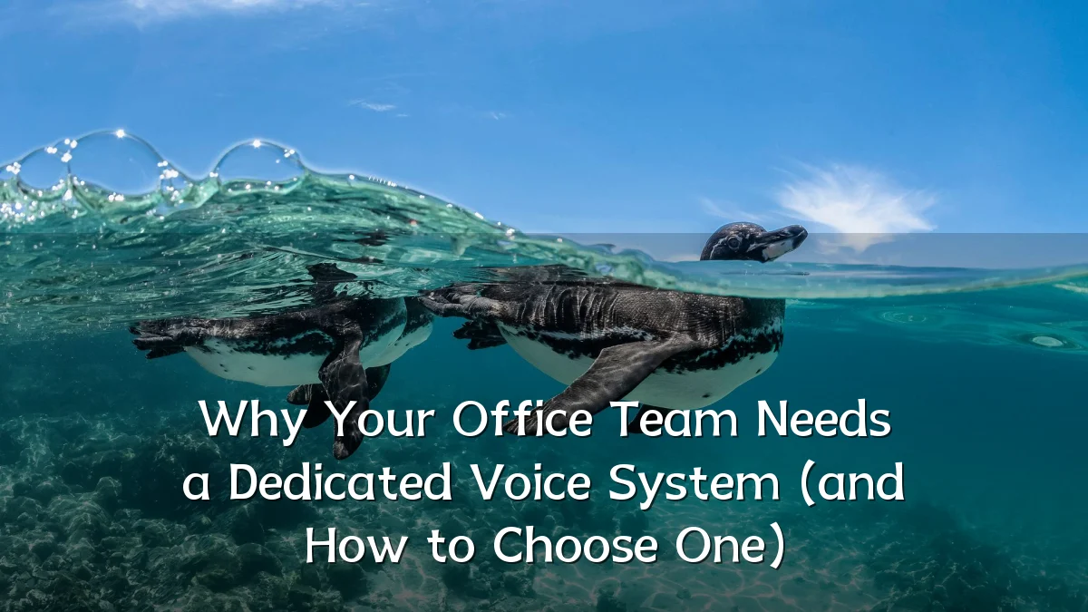 Why Your Office Team Needs a Dedicated Voice System (and How to Choose One)